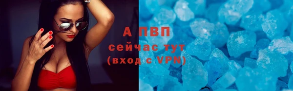 СК Балахна