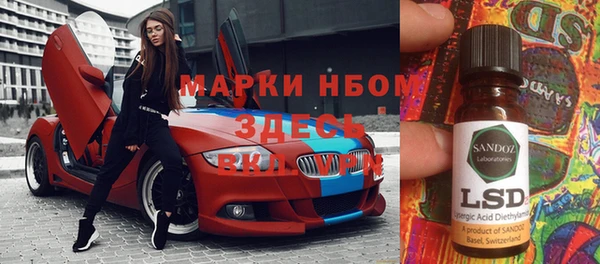шишки Баксан