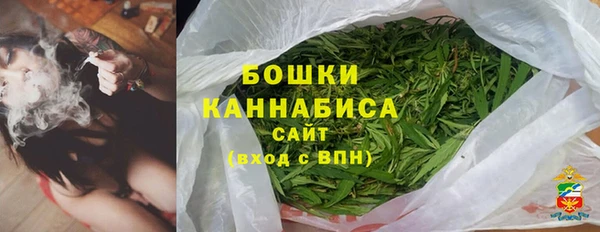 шишки Баксан