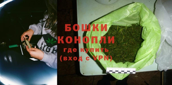 шишки Баксан