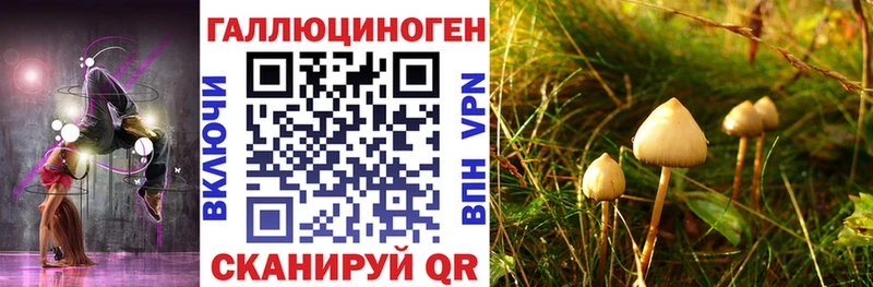 что такое наркотик  нарко площадка клад  Псилоцибиновые грибы мицелий  Усть-Джегута 